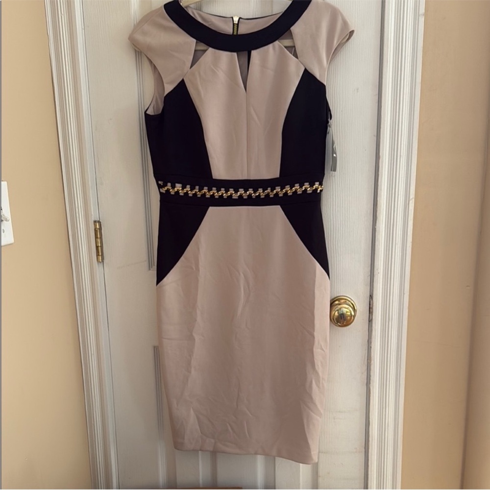 Jax Tan and‎ Black Sheath Dress Cap Sleeve Midi size 6